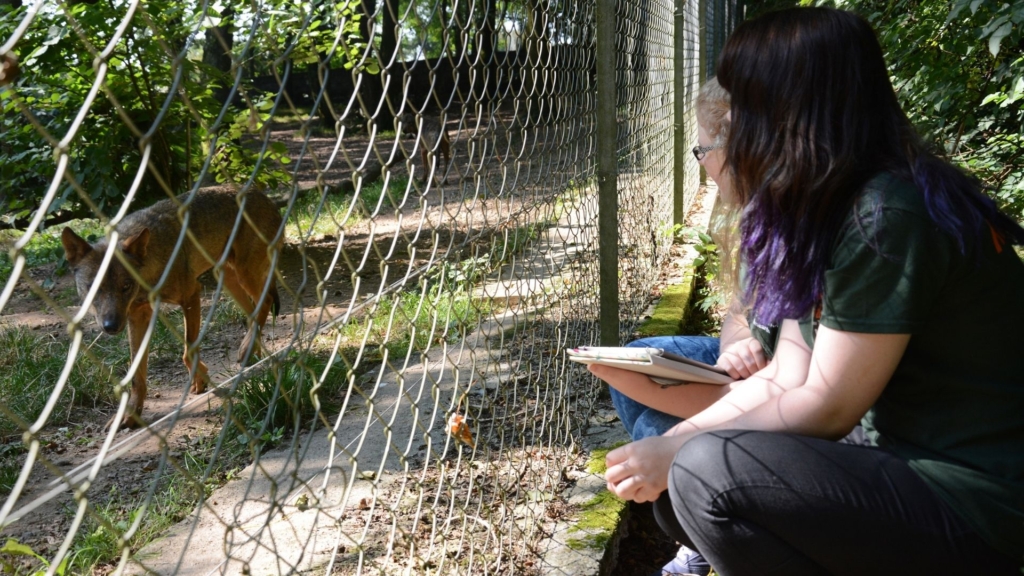 research project zoos