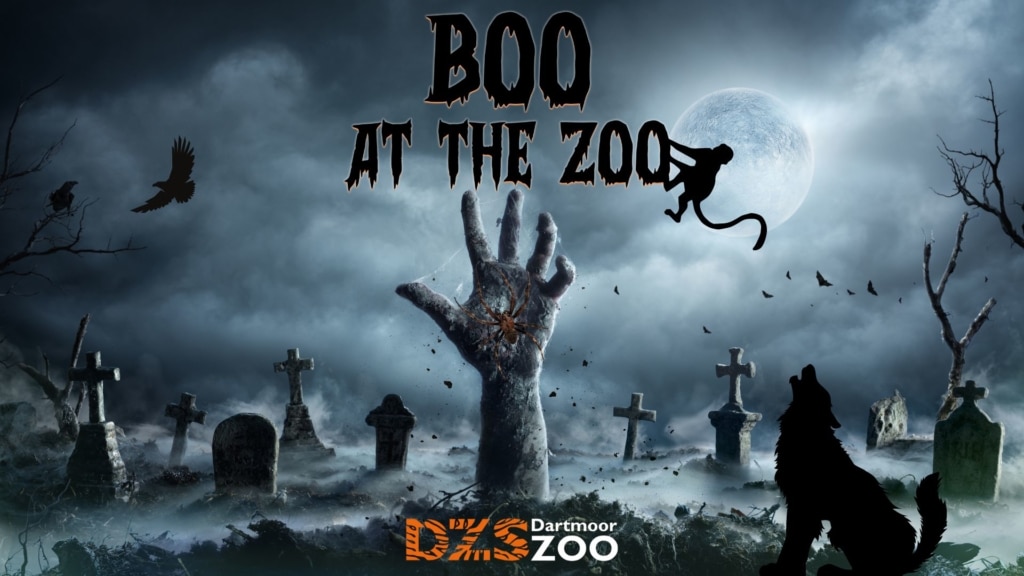 BOO at the Zoo is back! Dartmoor Zoo